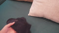 A video of a soft black after-sex towel showing it's functionality, great for Post-Intimacy clean-up.